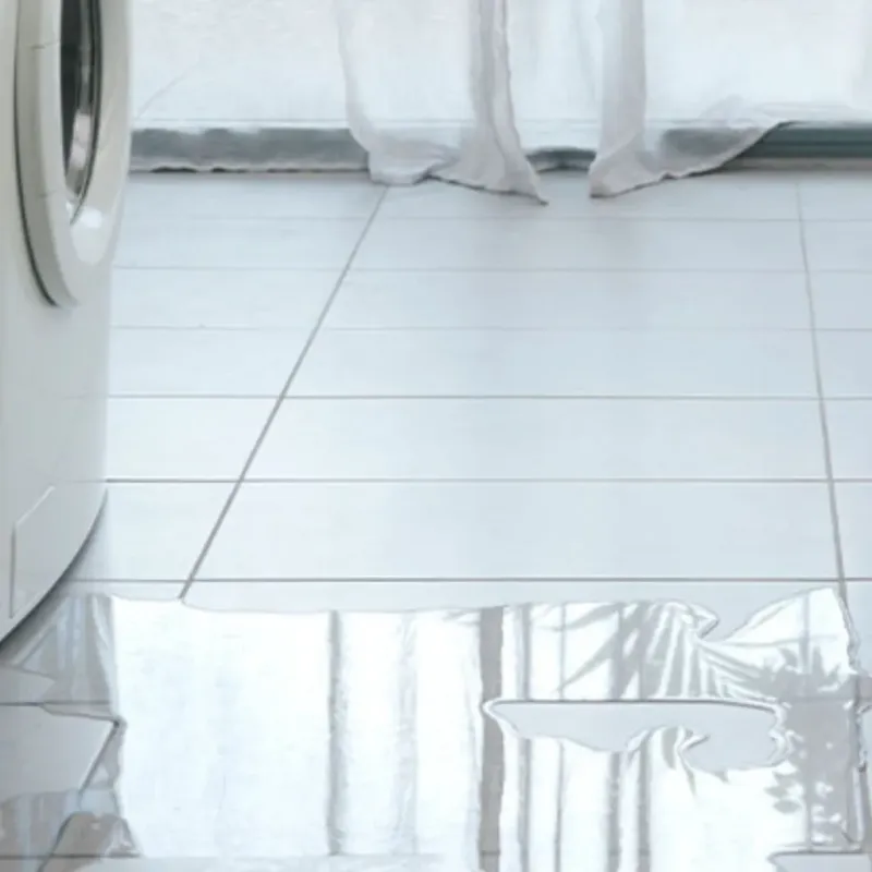 Appliance Leak Cleanup in Wayzata, MN