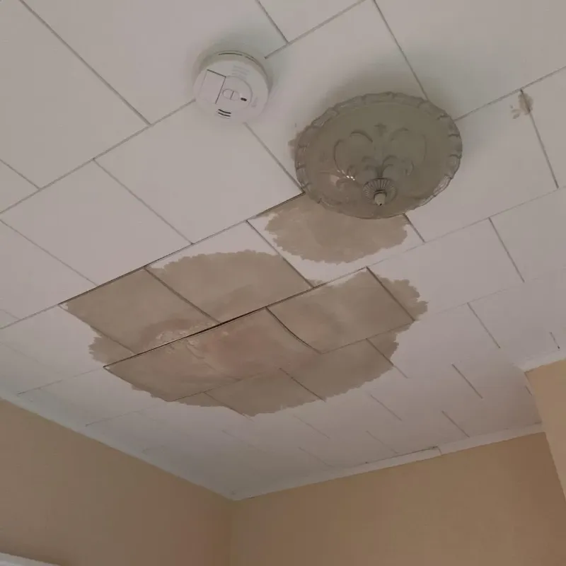 Ceiling Water Damage Repair in Wayzata, MN